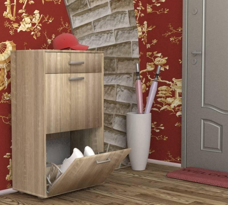 Фото Обувница ОБ-2 от производителя Пирамида в Щёлкино по цене 5&nbsp;060 ₽