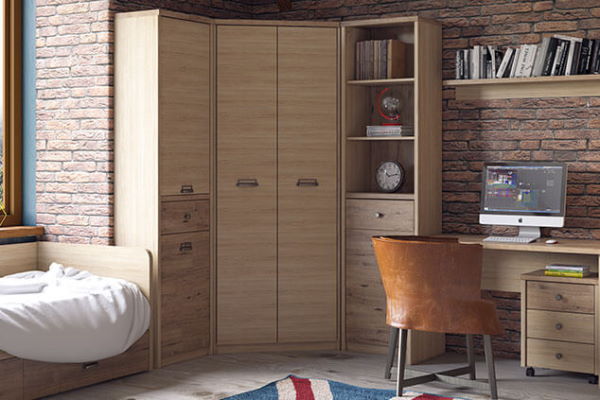 Фото Шкаф 2D1S/D1 Дизель (Diesel) от производителя Анрэкс в Щёлкино по цене 16&nbsp;500 ₽