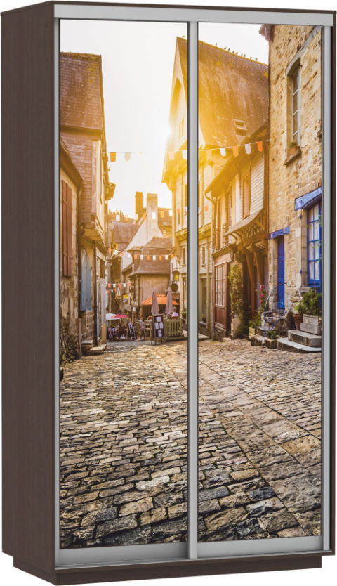 Фото Шкаф-купе Экспресс Дуо Фото (1,2х0,6х2,2 - 2 двери) от производителя Мебельная компания Е1 в Щёлкино по цене 31&nbsp;750 ₽