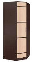 Шкаф Сакура (88) угловой (венге, лоредо-венге,(БТС)) в Щёлкино от производителя 