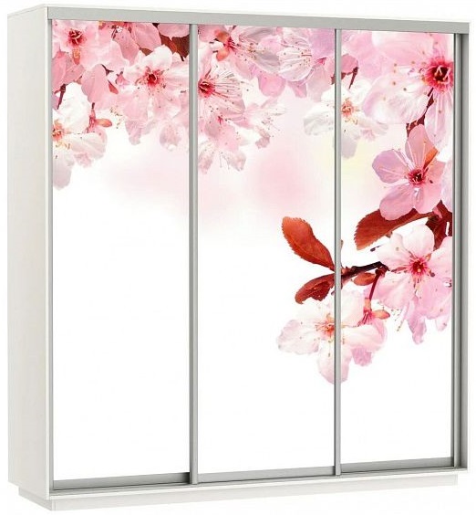 Фото Шкаф-купе Экспресс Трио Фото (2,1х0,6х2,2 - 3 двери) от производителя Мебельная компания Е1 в Щёлкино по цене 51 430 ₽