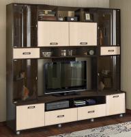 Гостиная Аллегро вар.№4 ЛДСП в интернет магазине Планета Комфорта Фото gostinye-so-shkafom гостиная аллегро вар.№4 лдсп производитель Диал