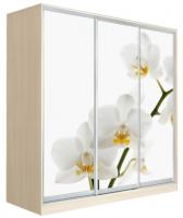 Фото shkaf-kupe-s-fotopechatyu шкаф-купе оскар 4 (2,22х0,6х2,4 - 3 двери) производитель Мебель Маркет