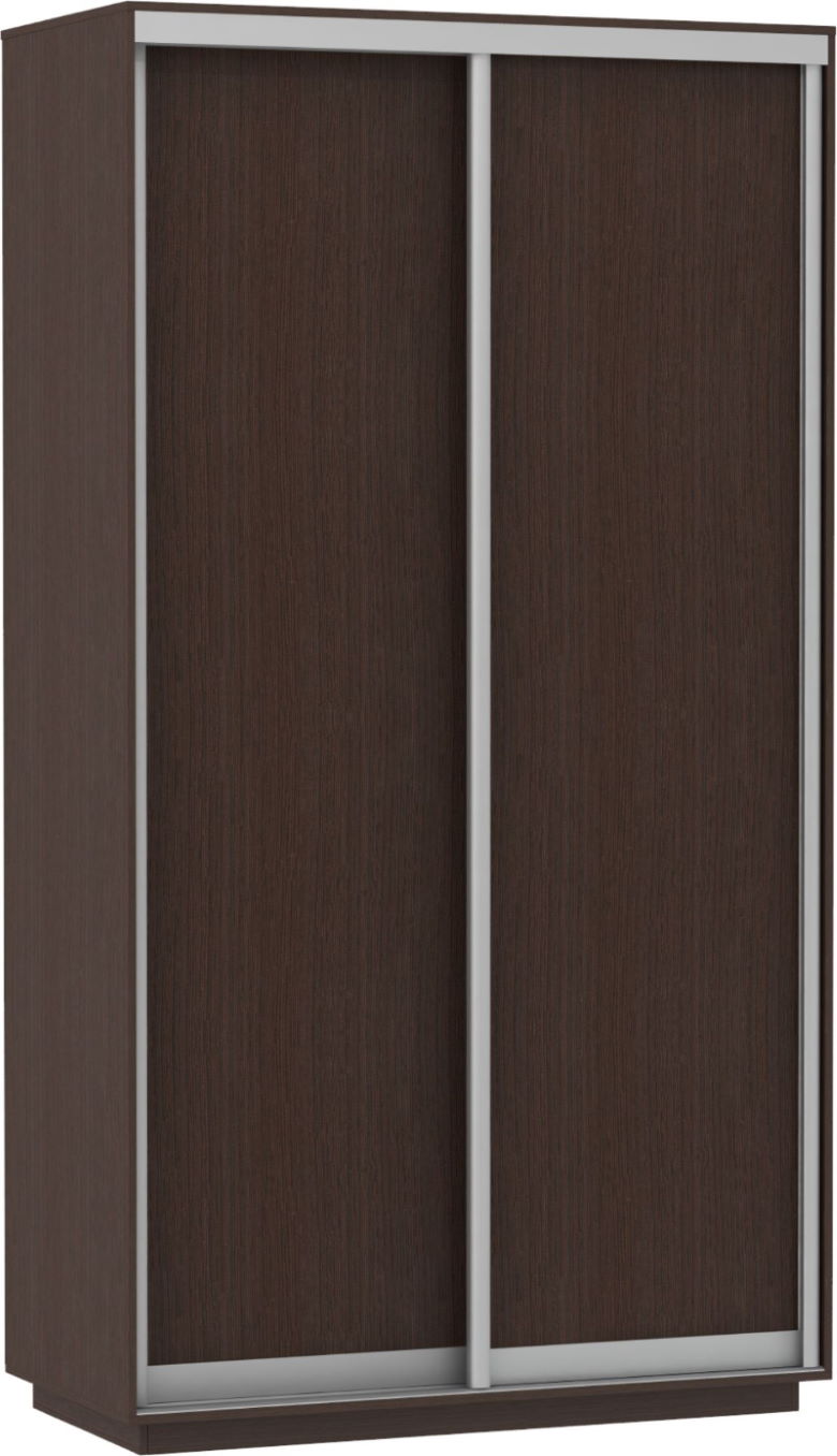 Фото Шкаф-купе Экспресс Хит Элемент (2 двери) от производителя Мебельная компания Е1 в Щёлкино по цене 22&nbsp;160 ₽