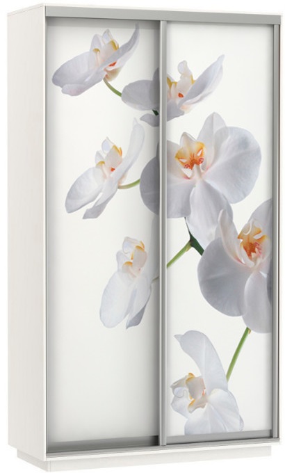 Фото Шкаф-купе Экспресс Дуо Фото (1,6х0,6х2,4 - 2 двери) от производителя Мебельная компания Е1 в Щёлкино по цене 43 340 ₽