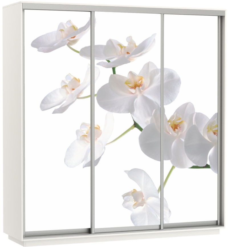 Фото Шкаф-купе Экспресс Трио Фото (2,4х0,6х2,4 - 3 двери) от производителя Мебельная компания Е1 в Щёлкино по цене 63&nbsp;870 ₽